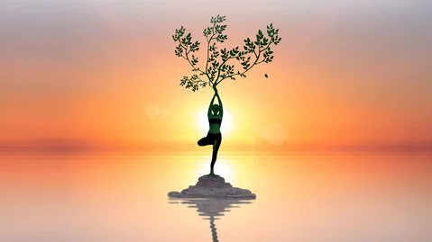 Entdecke die 7 Säulen für inneren Frieden, körperliches Wohlbefinden und die Balance von Körper, Geist und Seele.